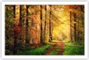Poster - Poster ohne Rahmen - Wald Baum Natur - 91,5x61 cm Produktbild-Vorschau 1
