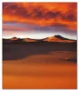Wallario Herdabdeckplatte aus Glas, Größe 52 x 60 cm Produktbild-Vorschau 1