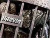 Pietre per sauna Harvia Vulcanite | quadrate 20 kg | 5-10 Anteprima dell’immagine prodotto 5