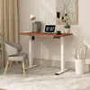 Flexispot Elektrisch Höhenverstellbarer Schreibtisch mit Produktbild-Vorschau 1