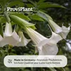 ProviPlant Engeltrompetendünger – 1 Liter Spezialdünger Produktbild-Vorschau 7