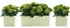 Pflanzkübel Kebe 100 x 40 cm oasi Greener, mit Rollen und Produktbild-Vorschau 7