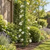 Support pour plantes KADAX 54–158 cm, tige d'escalade Voir les images du produit 4