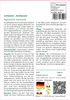 SAFLAX Garden to go - Limonen - Aniskraut - Agastache Produktbild-Vorschau 3