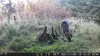 Outdoor Wildlife Hunting Trail und Wildkamera OXE Gepard Produktbild-Vorschau 18