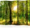 5-teiliger Einseitiger Vlies Paravent - Forest Rays II Produktbild-Vorschau 1