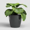 Artevasi San Remo Pot, Anthrazit, 14,5 l, 300 mm, 273 mm, 1 Produktbild-Vorschau 2