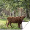 MuchoWow® Poster Schottischer Highlander - Kröte - Baum Produktbild-Vorschau 1