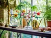 40725 – LEGO Icons – Kirschblüten Produktbild-Vorschau 7