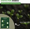 Close-up of young seedlings growing in dark soil, with an inset instructional pamphlet. Produktbild-Vorschau