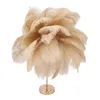 A close-up studio shot of a decorative table lamp with ostrich feathers. Voir les images du produit