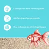 Schicker Mineral-Aquariumsand beige 25 kg-0,1-0,3mm Produktbild-Vorschau 2