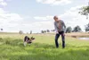 TRIXIE Reizangel für Hunde - diverse - Angel: 110 cm, Produktbild-Vorschau 4