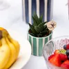 Kolibri Home | Gemaltes Streifchen Produktbild-Vorschau 2