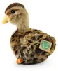 Papera Peluche 19 Cm Ecologica Anteprima dell’immagine prodotto 4