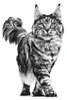 Royal Canin, Gastro Intestinal pour chats - 400 g Voir les images du produit 2