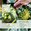 Blumenkohl Samen (Romanesco, 50 Korn) - Blumenkohl Saatgut Produktbild-Vorschau 2