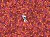 Clementoni 39526 - Frozen 2 - 1000 dílků - nemožné puzzle Náhled obrázku produktu 2