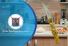 SMI 2 Stück Schälmesser 16,2 cm - Gebogenes Solingen Produktbild-Vorschau 6