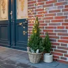 LED záhradné hviezdy do zásuvky - 98 x 50 cm - svetelné Náhľad obrázku produktu 2