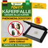 Käfer Klebefalle -1x Falle- Wirksam Käfer bekämpfen, Mittel Produktbild-Vorschau 1