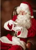 Costume de Père Noël Malatec 22682 Voir les images du produit 8