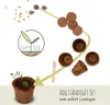 Bonsai Starter Kit Anzuchtset inkl. GRATIS eBook - Produktbild-Vorschau 5