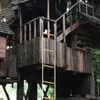 A rope ladder is attached to a wooden treehouse. Podgląd zdjęcia produktu