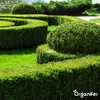 Lavameal z prapôvodnej horniny Eifel (20 kg – pre 200 m2) Náhľad obrázku produktu 8