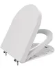 ANYCEE Toilettendeckel mit Absenkautomatik 46x36.5 CM, WC Produktbild-Vorschau 1