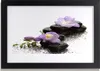 Bild 30x20 MDF-Rahmen Wandkunst Blumen-Stones-Kunst Produktbild-Vorschau 1