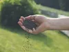 Substral Naturen Rasendünger  für 500 m² 20 kg Produktbild-Vorschau 8