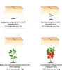 Diagrams showing different stages of plant growth with corresponding light settings. Náhľad obrázku produktu