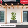 KOTARBAU® Modulare Rankhilfe 60x120cm 2 Rankgitter je Produktbild-Vorschau 4