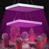 Clanmacy Pflanzenlampe Pflanzenlicht Vollspektrum Produktbild-Vorschau 7