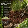 Lavagestein 5 Liter Ø 1–5 mm – Mineralisches Pflanzgranulat Produktbild-Vorschau 6