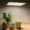 A grow light illuminates several potted plants on a wooden surface. Náhled obrázku produktu