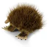 Peluche Echidna 24 Cm Ecologique Voir les images du produit 3
