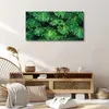 Coloray Bild aus Leinwand 100x50 Leinwand Dekoration - Produktbild-Vorschau 3