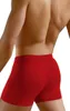 Sesto Senso boxer uomo SOLAR intimo senza cuciture Anteprima dell’immagine prodotto 3