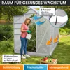 BRAST Gewächshaus Aluminium mit Fundament | 250x190x195cm Produktbild-Vorschau 6