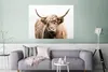 MuchoWow® Poster Schottischer Highlander - Tiere - Fell Produktbild-Vorschau 5