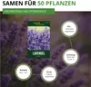 Lavendel Echter Samen - Lavandula angustifolia - Produktbild-Vorschau 3