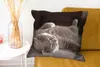 MuchoWow® Zierkissen Sofakissen Wohnzimmer Dekokissen 60x60 Produktbild-Vorschau 6