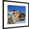 MuchoWow® Gerahmtes Poster Zebra - Lustig - Kinder - Jungen Produktbild-Vorschau 1