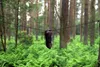 DD Hammocks DD Tarp 3 x 3 m Coyote Braun Regendach Zubehör Produktbild-Vorschau 7