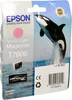 Epson T7606 Vivid Light Magenta, Magenta, Tinte auf Produktbild-Vorschau 2