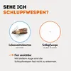 Schlupfwespen gegen Lebensmittelmotten - (4 Karten á 1 Produktbild-Vorschau 2