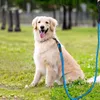 Laisse pour chien réfléchissante, laisse d'entraînement Voir les images du produit 15