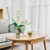Stavebnice COIL play, kvety z kociek, phalaenopsis, Náhľad obrázku produktu 5